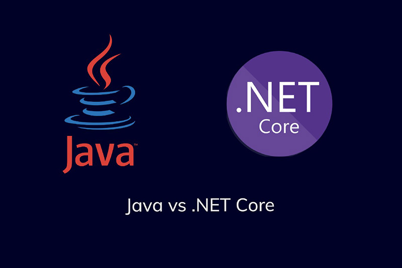 asp-net-and-java-how-to-choose-the-best-one asp-net-and-java-how-to-choose-the-best-one